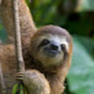 Meet your Posher, Adelyn